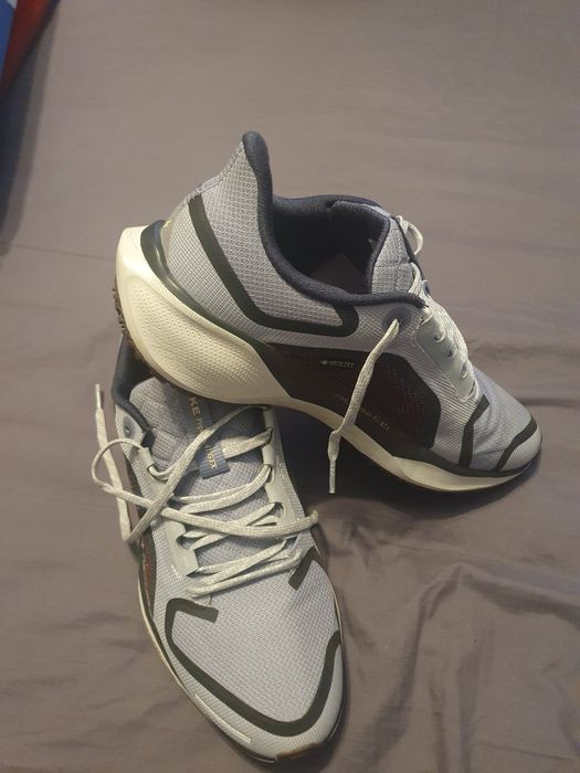 Nike pegasus goretex 43