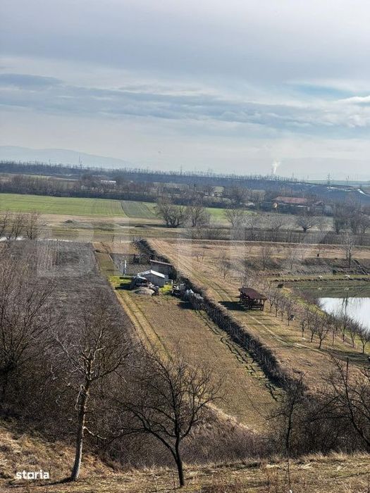 Teren extravilan 3100 mp cu iesire la raul Mures