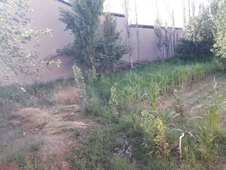 Toshkent tumanida yer sotiladi  8 sotix