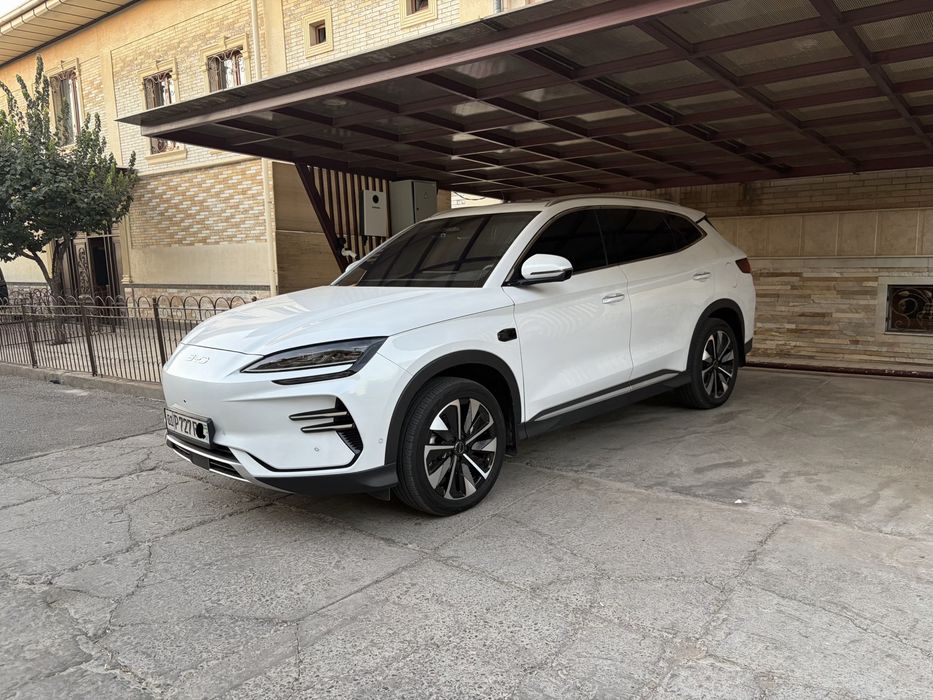 BYD champion smart 605