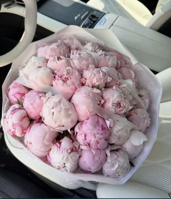 Голландские пионы Алматы