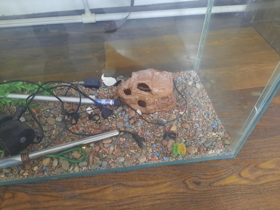 Aquarium sotiladi
