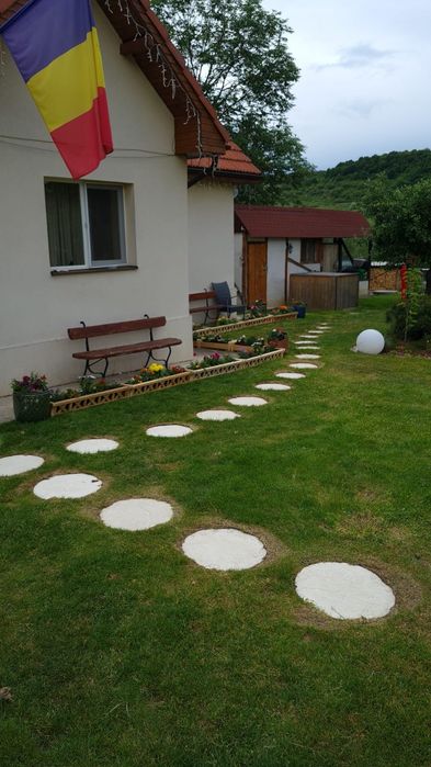 Casa cu gradina Electric Castle