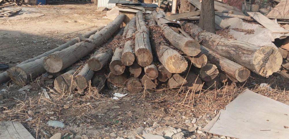 Продам дерево кругляк