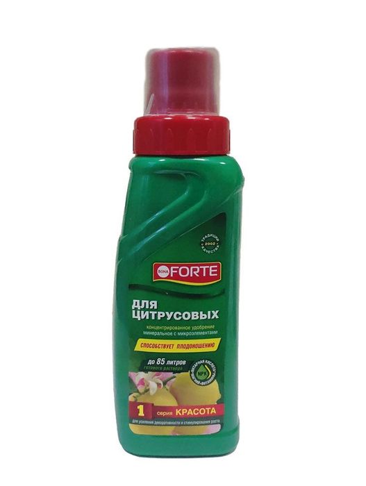 Bona forte бона форте