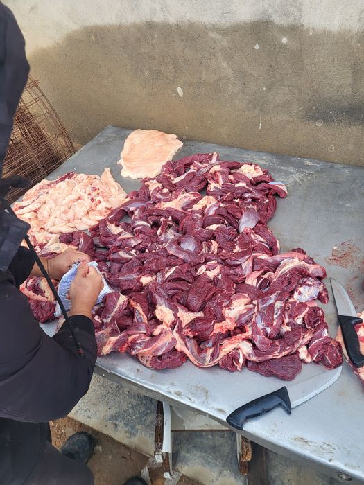 Жілік жылкы еті 2600тг