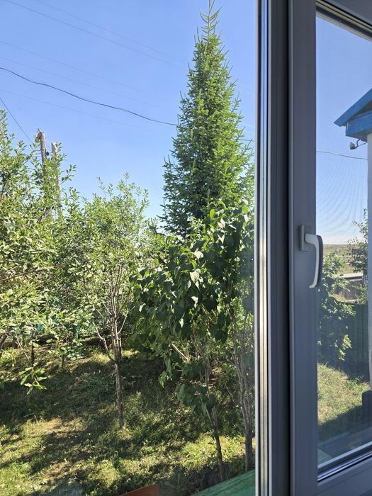 Продам  дом за городом
