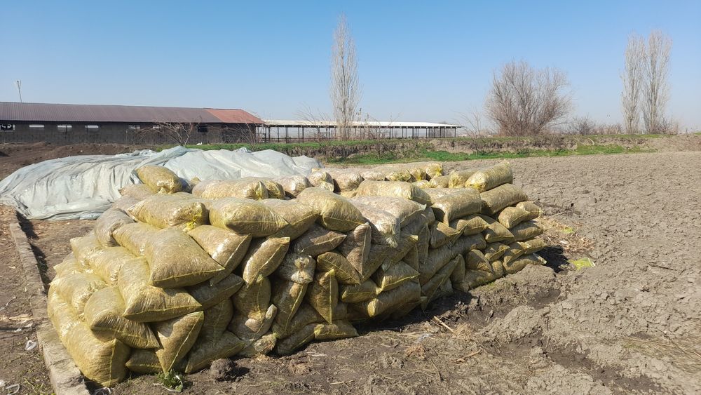 Silyos bor 750 so'm 50 tonacha