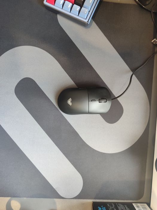 Продам мышки Ayla