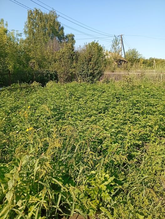 Дача СТ Лесовод.