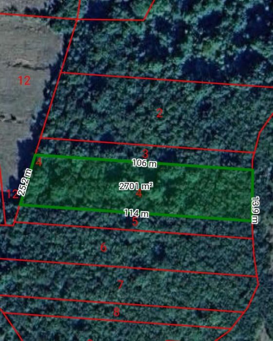 Гора 55 дка, с.Долна Бела речка, общ.Вършец