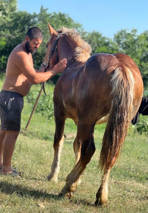 Vand manza de 1 an si 4 luni semi grea