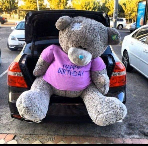 Ayiq Teddy тедди (30sm. 3metrgacha)