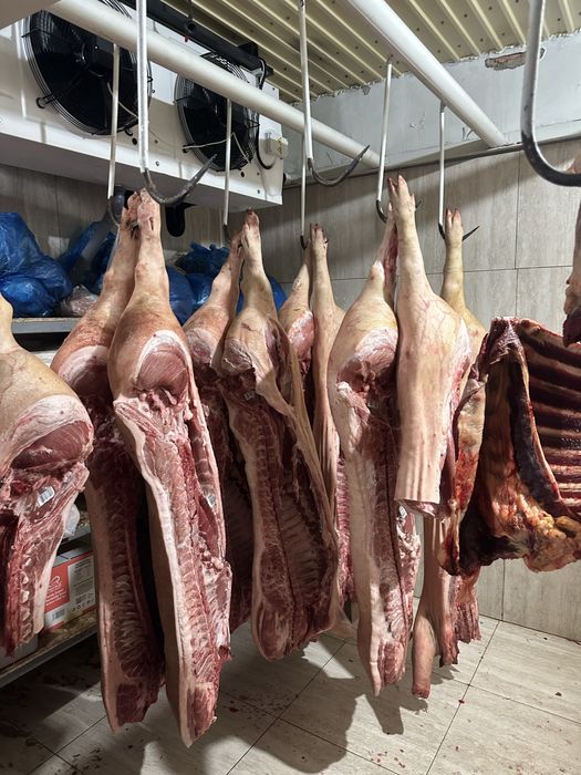 Принимаем мясо говядины конины баранины