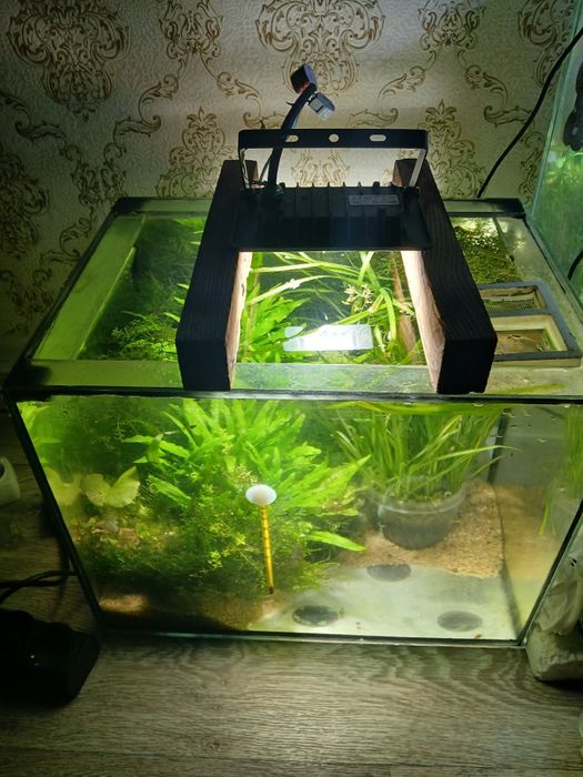 Аквариум в комплекте с рыбками
