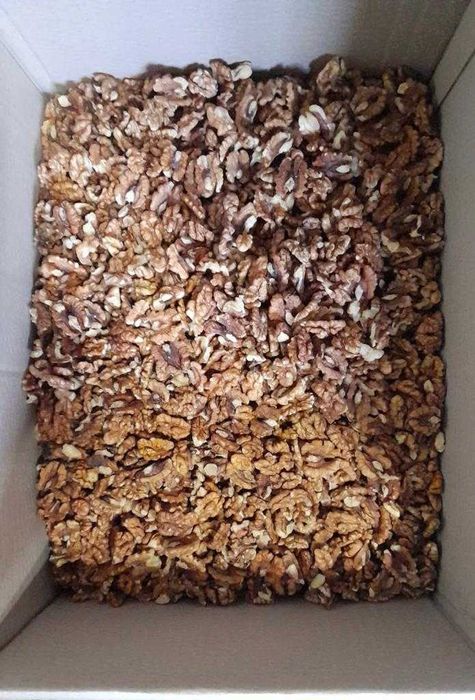 Cutie  miez  de nucă cafeniu, 10 kg