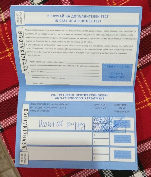 Померан мини шпиц
