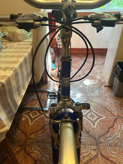 Trekking star bicicleta