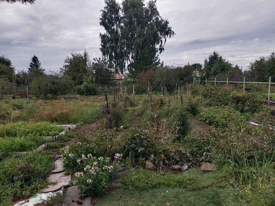 Продам дачу Садоводство «Сосновый Бор»