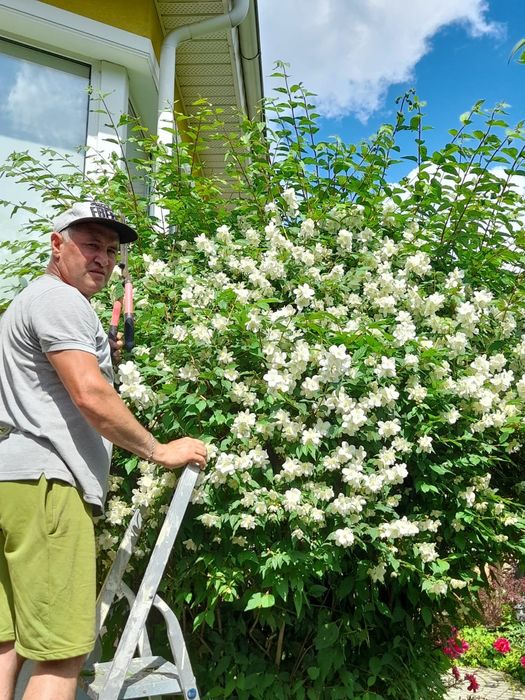 Садовник (ца) с опытом