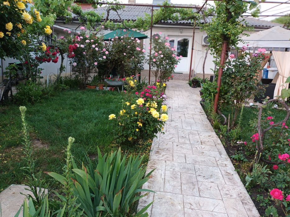 Cazare Eforie Nord ,CASA MARIA