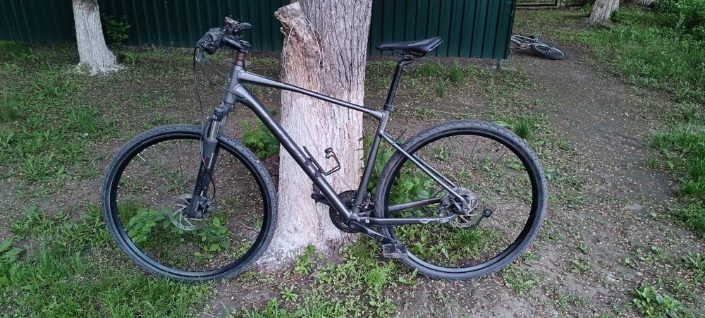 Giant roam 2  2022