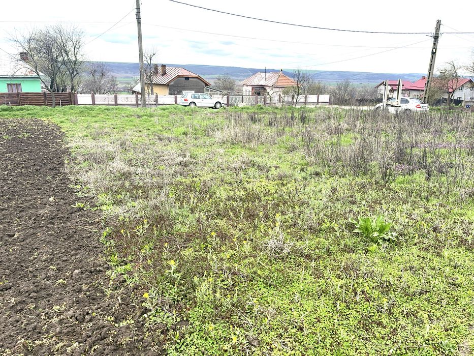 Teren Simnicu de Sus Cornetu intravilan, asfalt