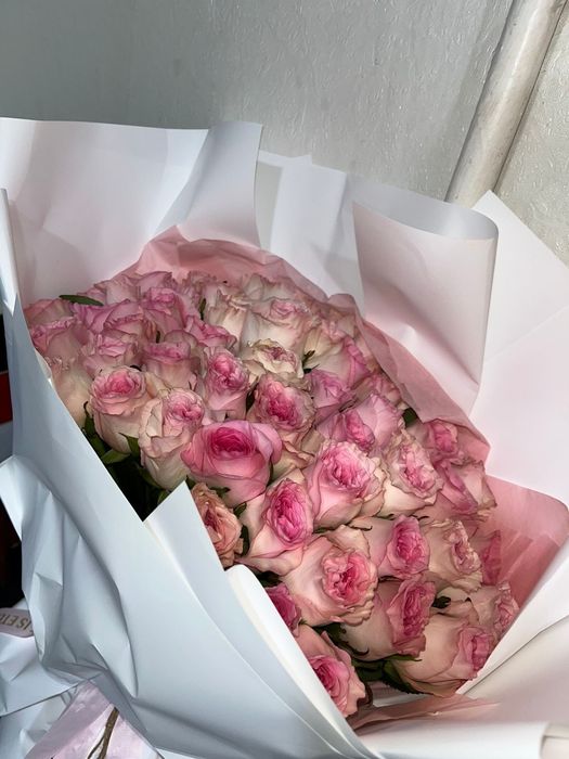 Продам цветы розы