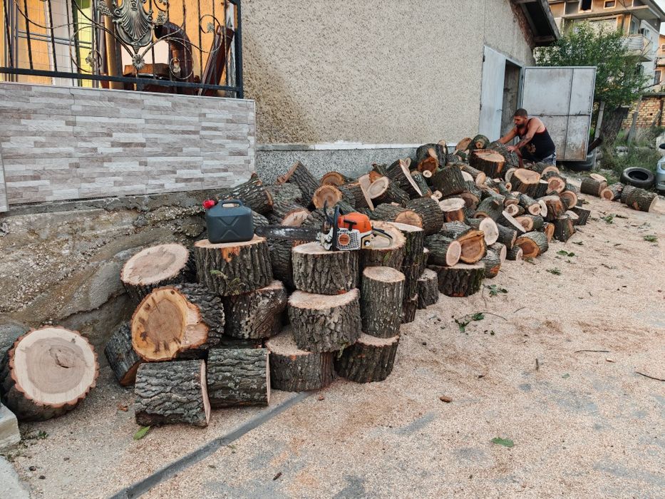 Рязане на дърва 12лв кубик