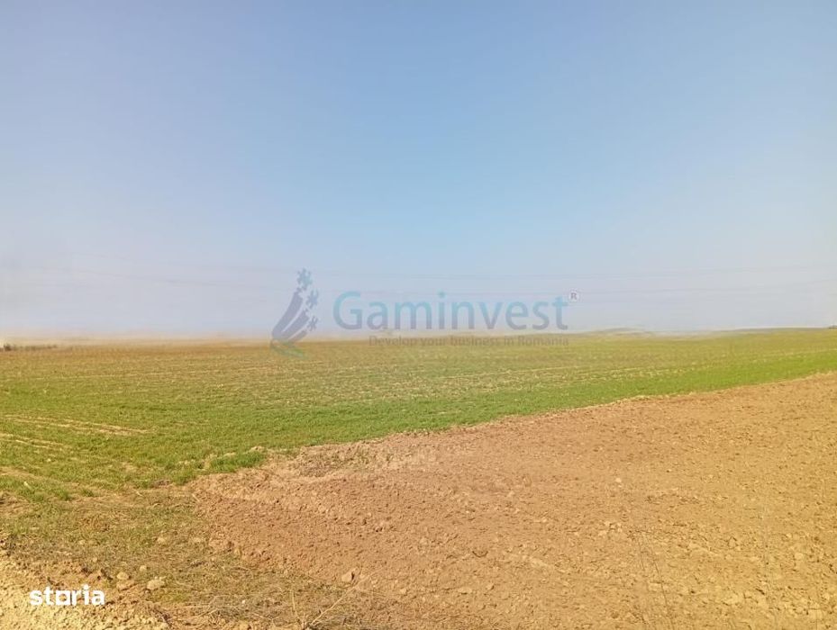 Teren in Biharia cu o suprafata de 20000 mp intravilan,Gaminvest V4214