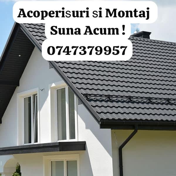 Acoperisuri si montaj sau reparatii