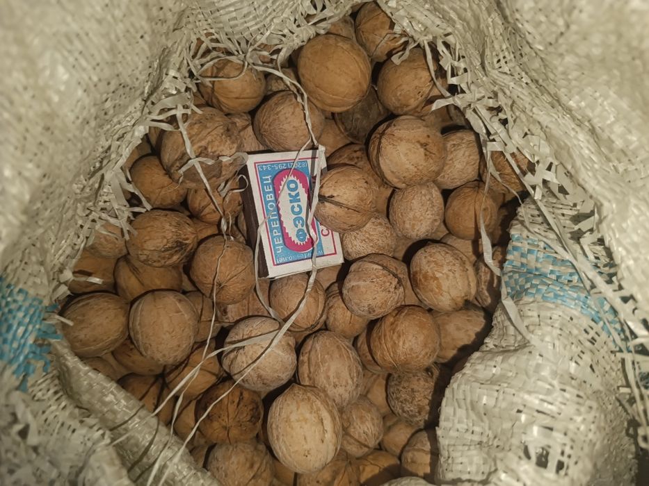 Продам грецкие орехи