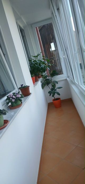 Inchiriez apartament ultracentral Suceava