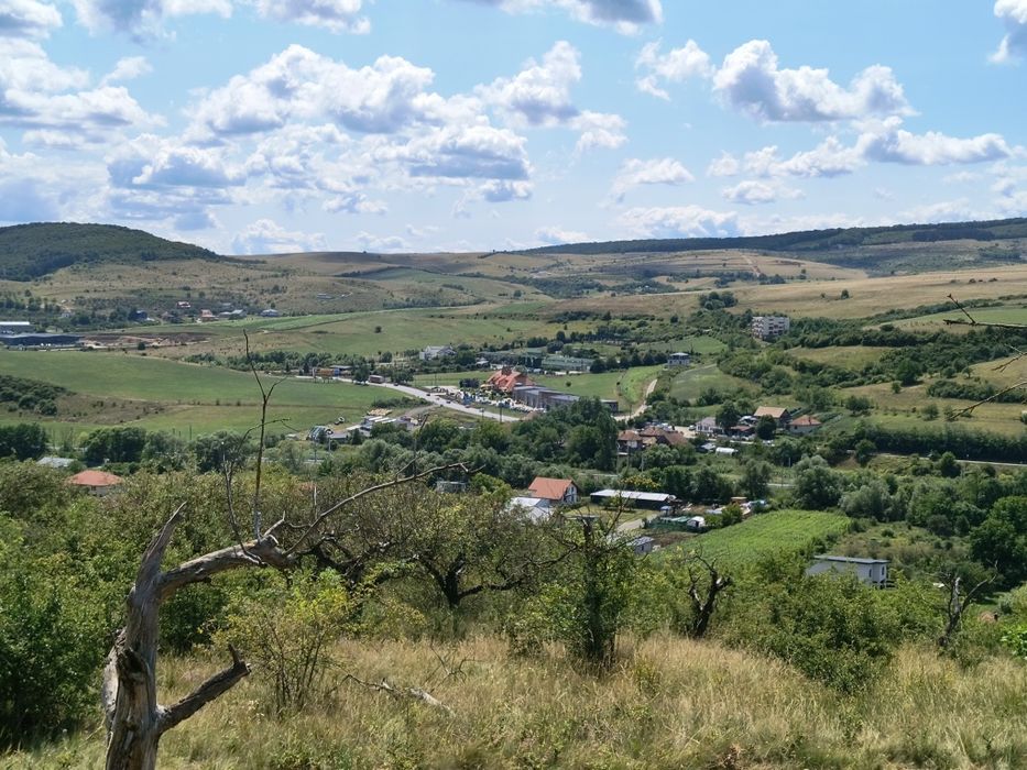 Teren Radaia  Mera Cluj Baciu 8000mp Intravilan