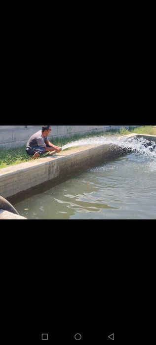 Nasos sotadi MP 1600 a