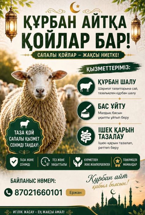 Кой марка сек токты кошкар