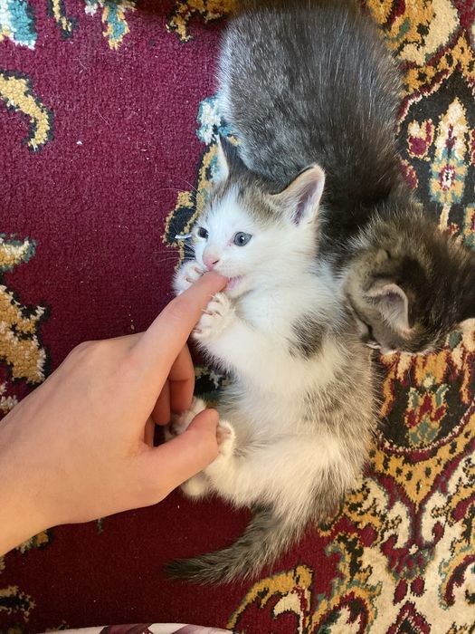 Kimga kerak bo’lsa murojat qilishingiz mumkin