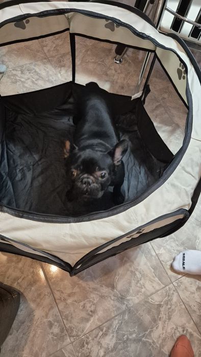 Кошара за животни