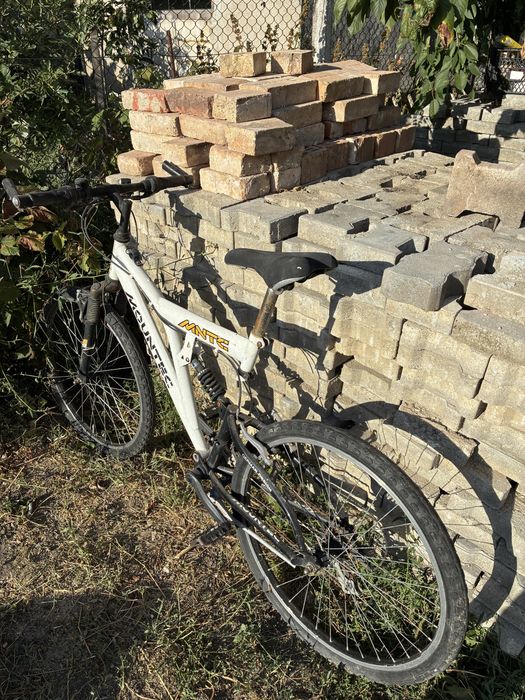 Bicicleta adult