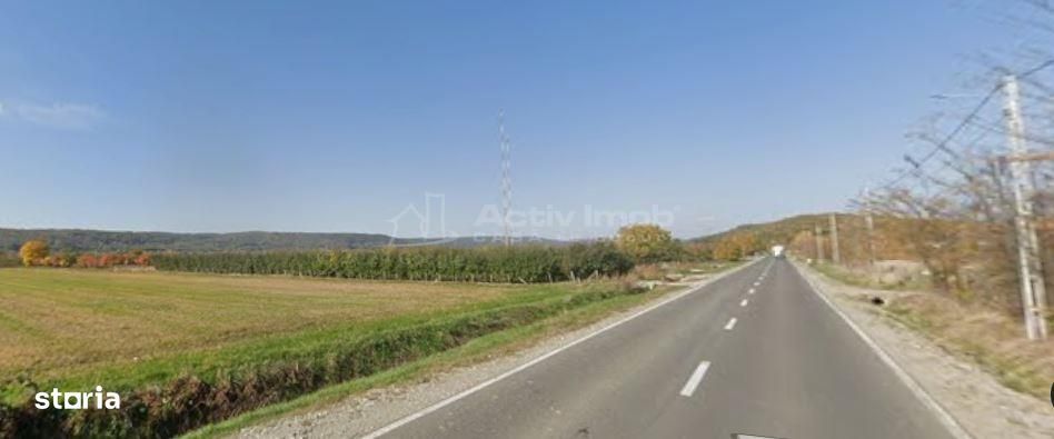 Teren intravilan 13060 mp | Deschidere 64 m la DN72A Voinesti