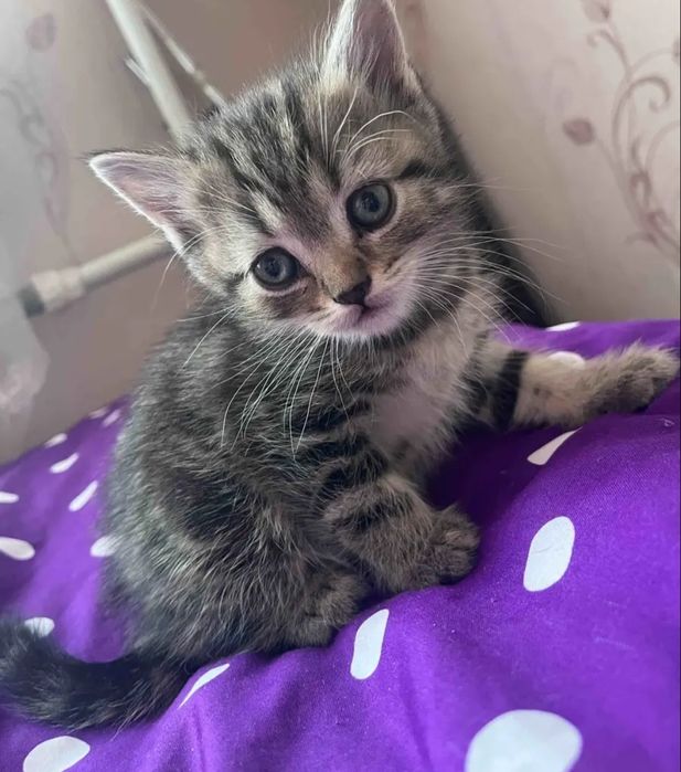 Девочки и мальчтки 1.5 мес