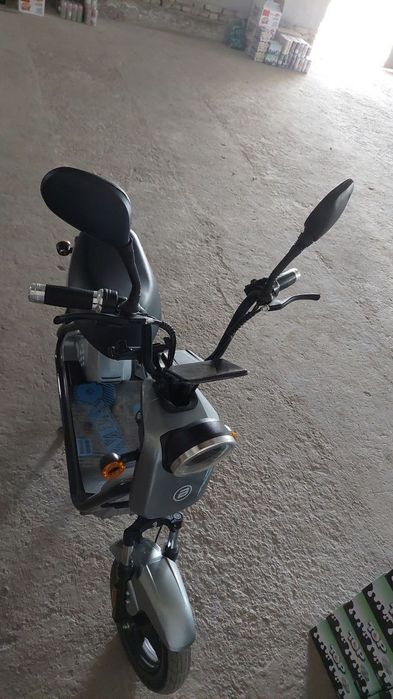 Elektra squter sotiladi