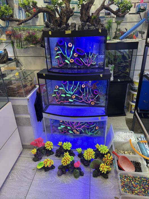 Akvarium yengi va sifatli