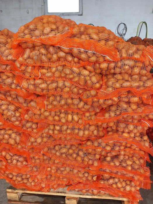 Vand sămânță de cartof