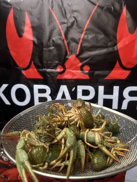 Морепродукты раки креветки