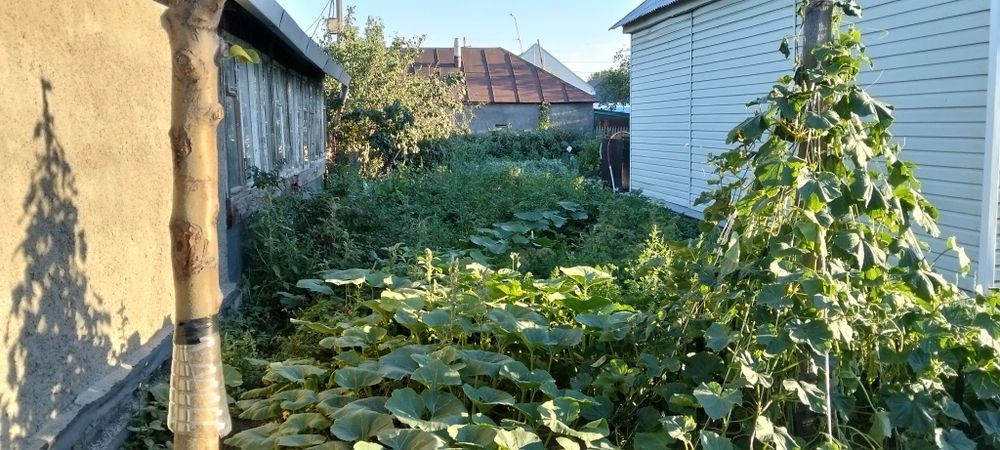 Продаю дом на правом берегу