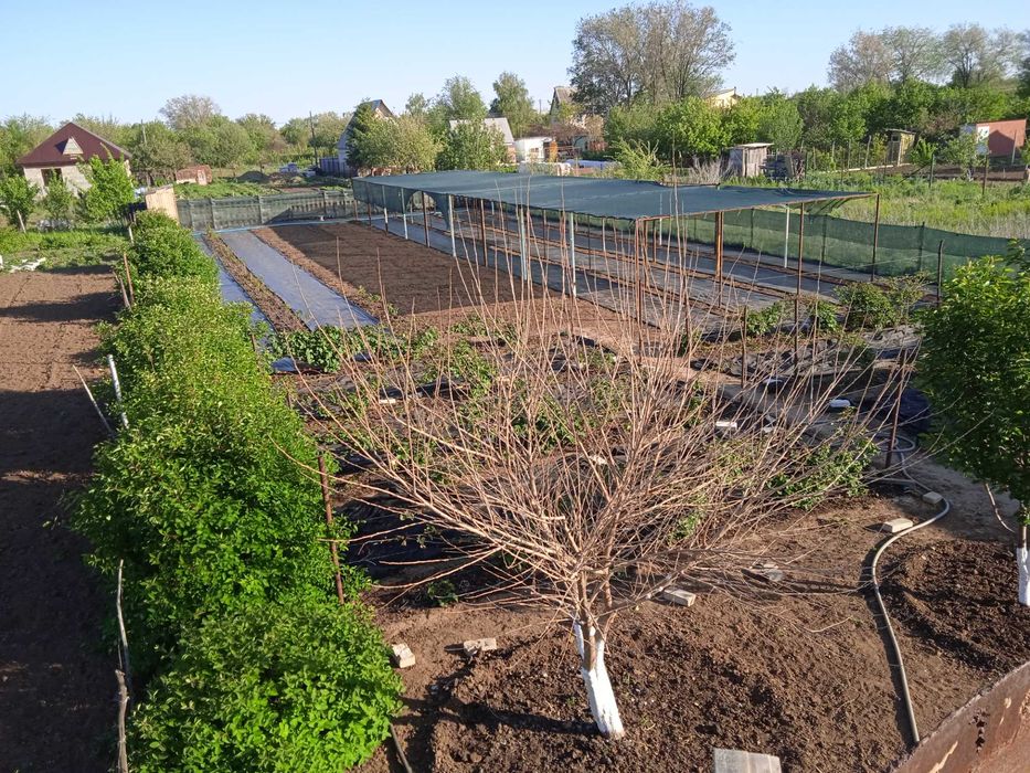 Продам участок  Новь