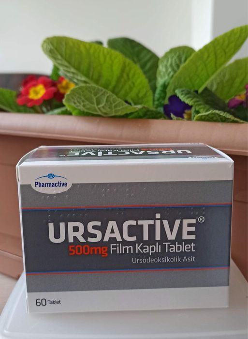 урсактив 250 мг и 500 мг ursactive