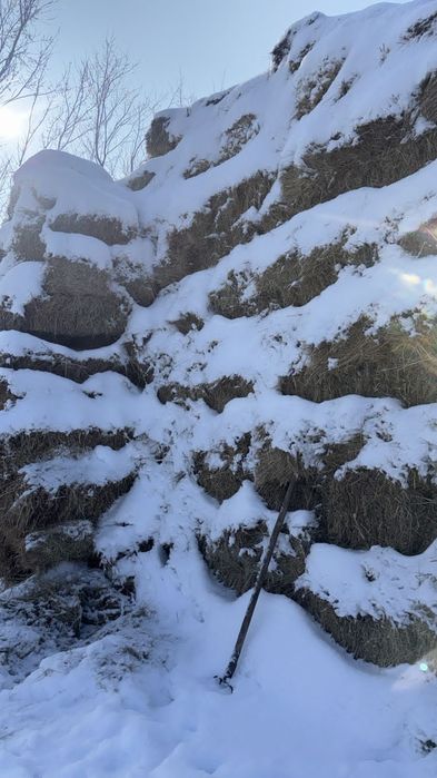 Кырдын шоби сатылады срочно