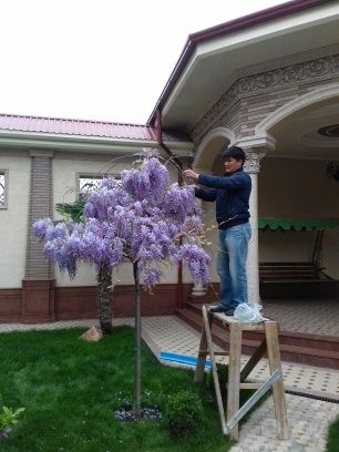 Газон   поливное системы
